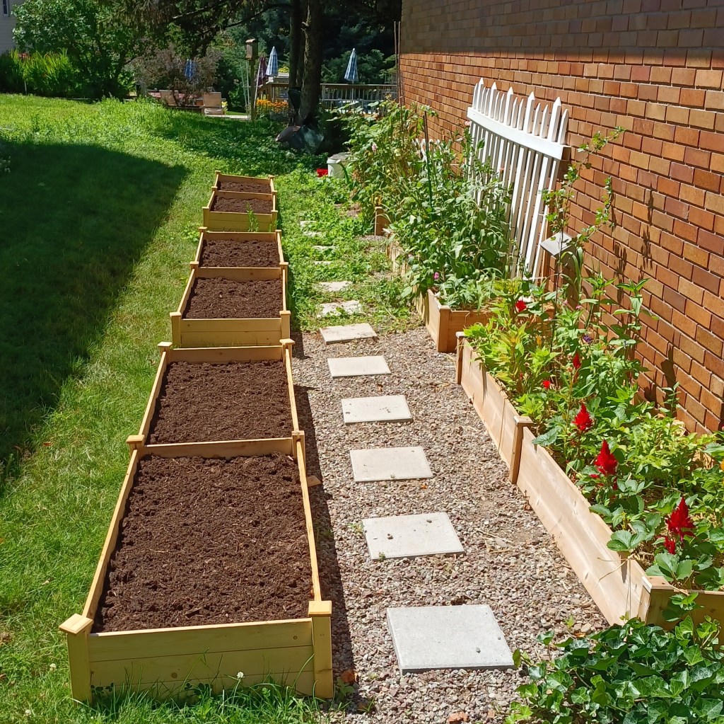 raised beds filled with soil ready to be planted