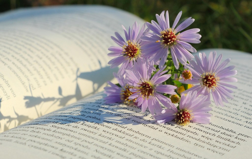 Flowers on a book ready to be pressed
