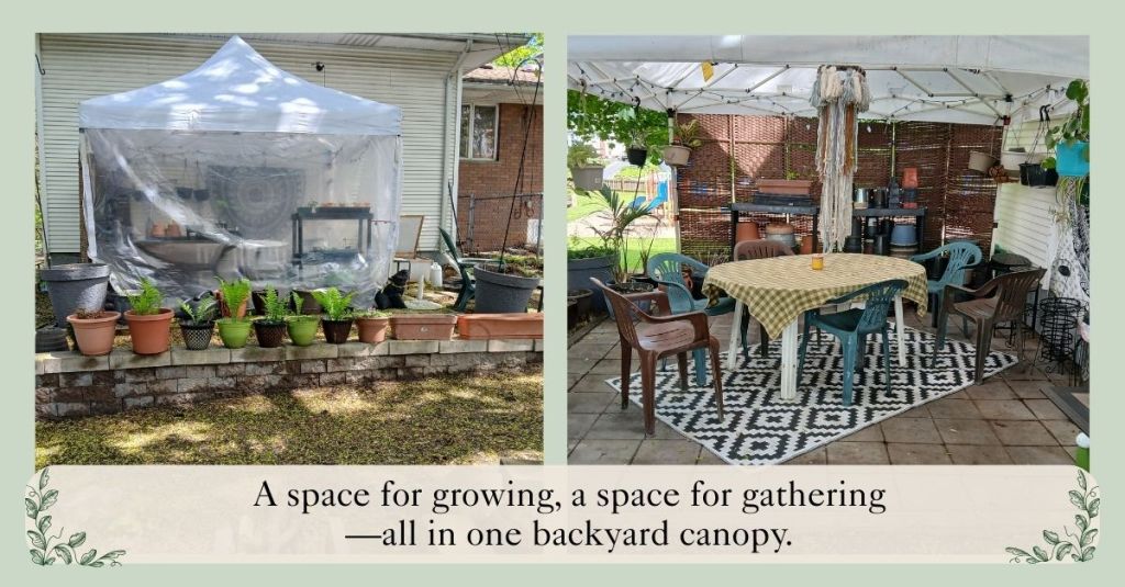 Side-by-side photos: one showing a white canopy with clear plastic walls used as a greenhouse, the other showing the same canopy in summer as a dining area with hanging plants and a table with chairs.