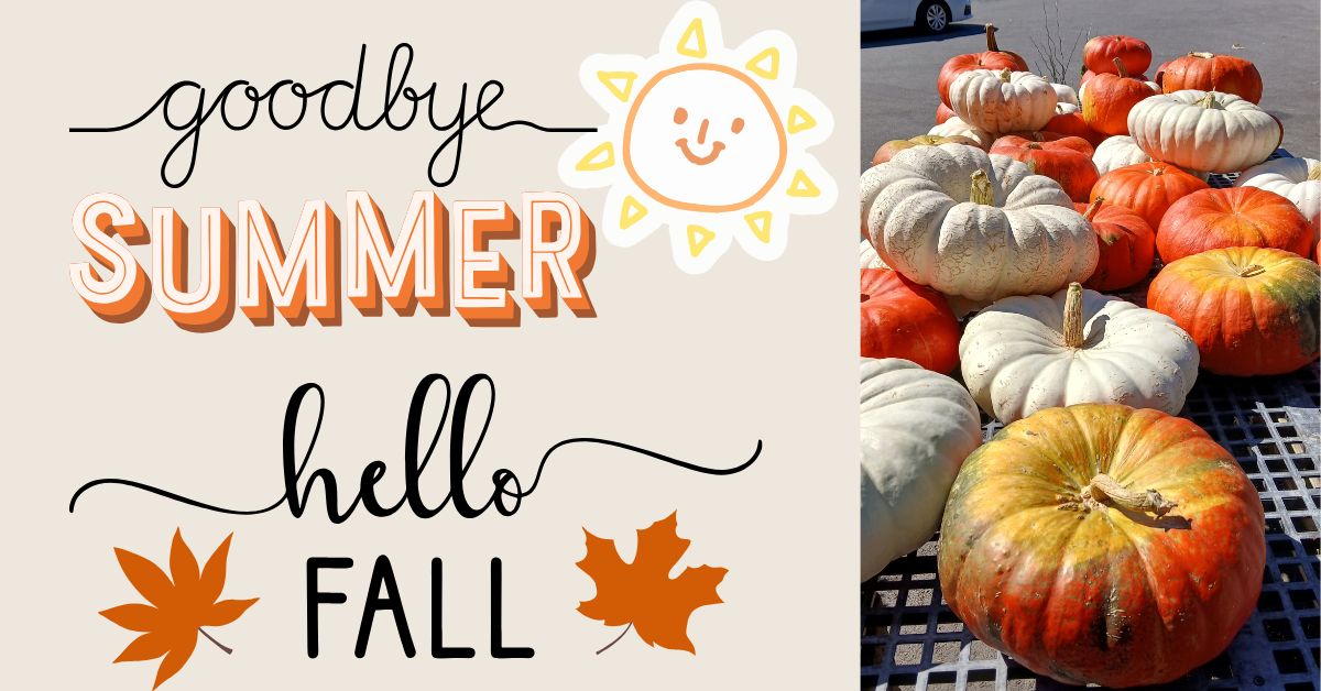 Saying goodbye to summer and hello to fall, picture of colorful pumpkins
