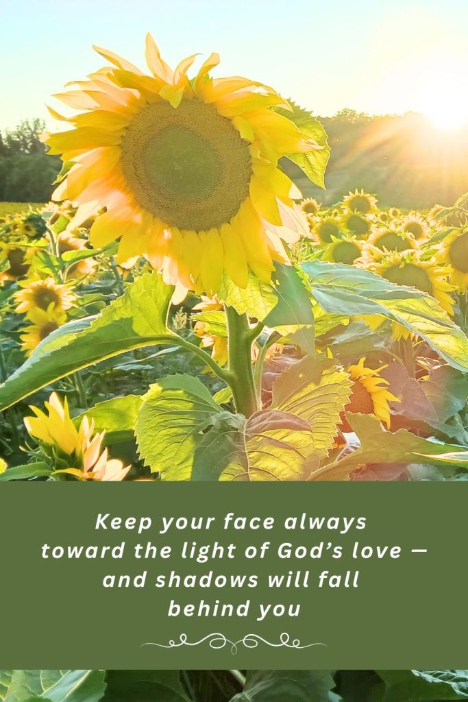 Close-up of a sunflower glowing in the sunlight with a quote overlay: ‘Keep your face always toward the light of God’s love — and shadows will fall behind you.